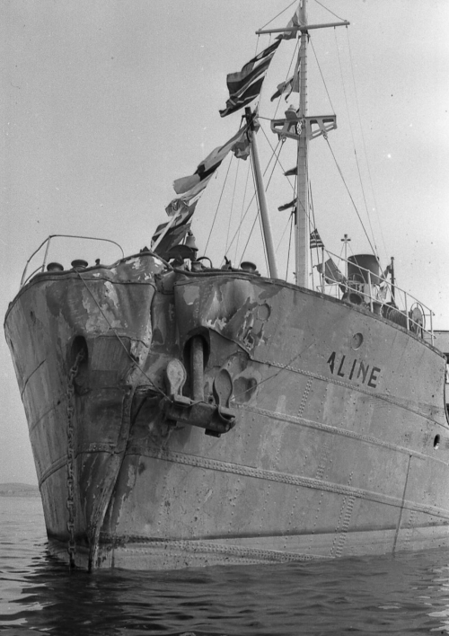 Aline by T. Diedrich Aline by T. Diedrich